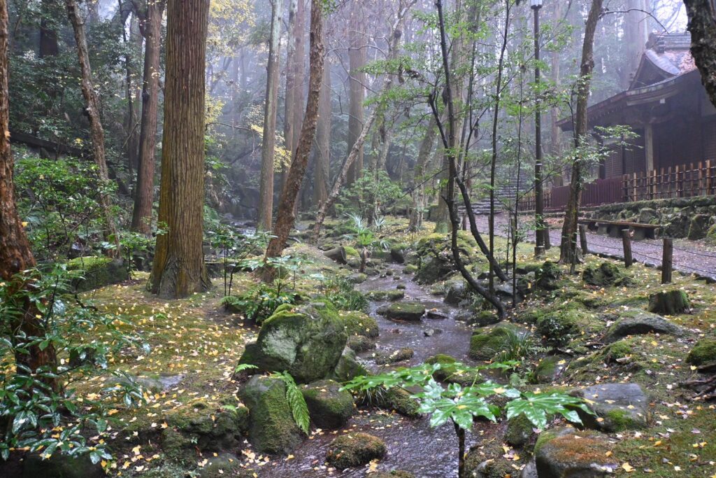 成田山公園内の画像