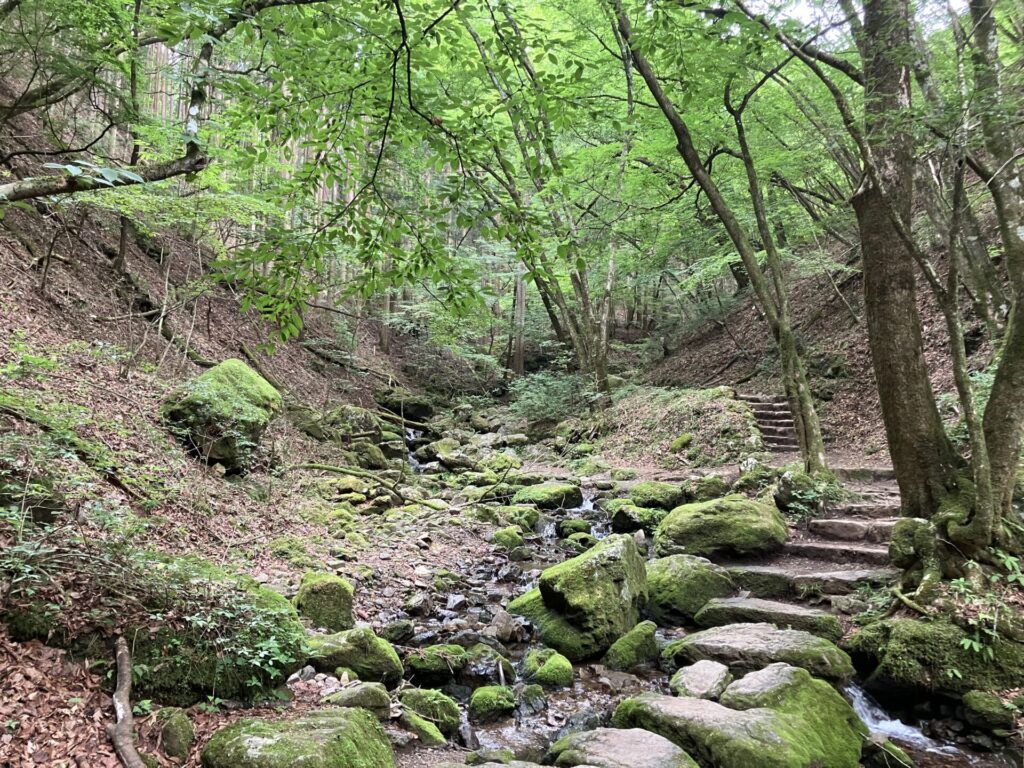 御岳山のロックガーデンの画像