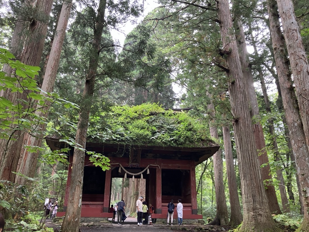 戸隠神社奥社の随神門