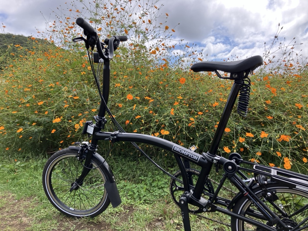 花の都公園のコスモスとBROMPTON