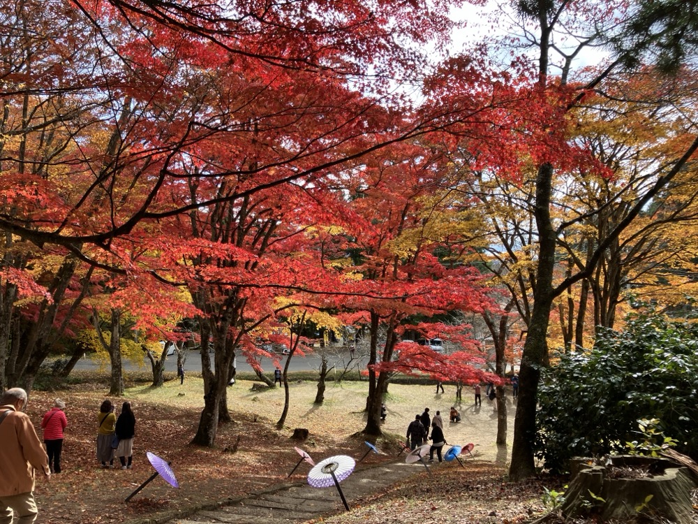 土津神社の紅葉