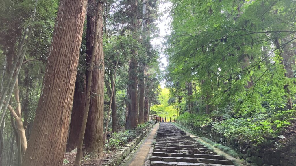 瑞鳳殿の杉並木と参道の画像