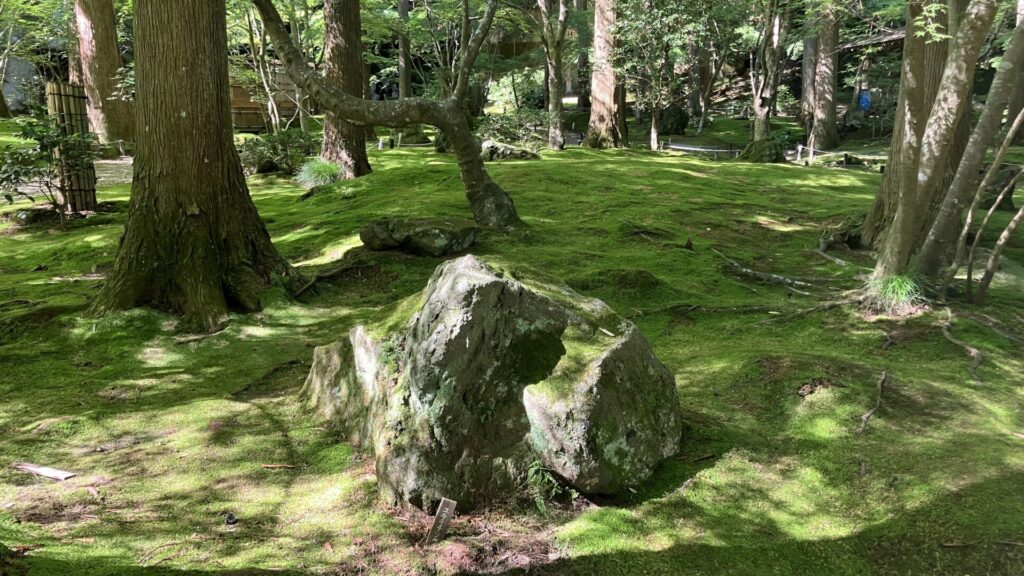 円通院の苔庭の画像