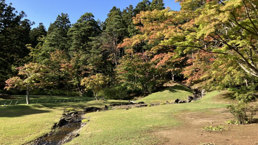 毛越寺の浄土庭園内にある遣水の画像